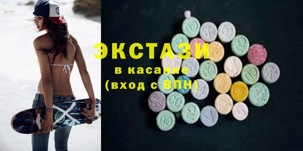 гидра Богданович
