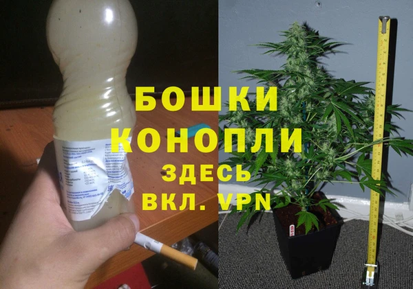 хмурый Богородск