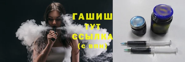 гидра Богданович