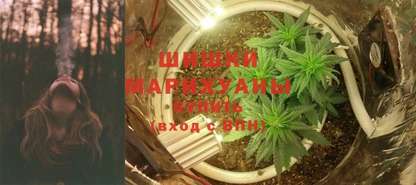гидра Богданович
