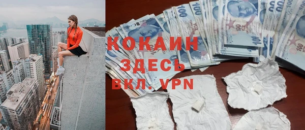гидра Богданович