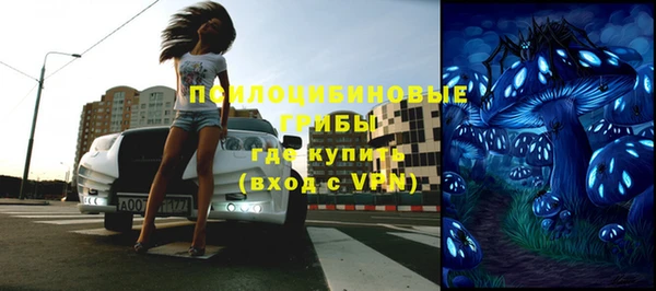 гидра Богданович