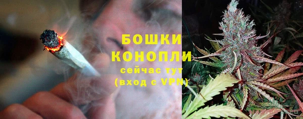 хмурый Богородск