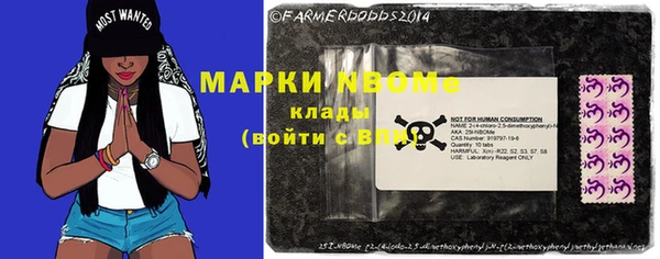 хмурый Богородск
