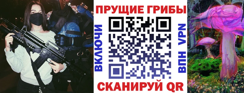 где продают наркотики  Катайск  Псилоцибиновые грибы Psilocybe 